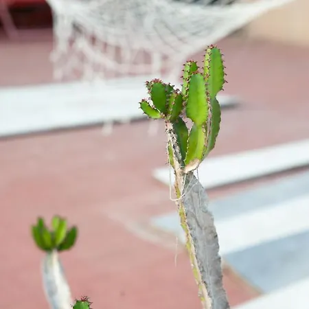 Hotel Sa Teula Llafranc
